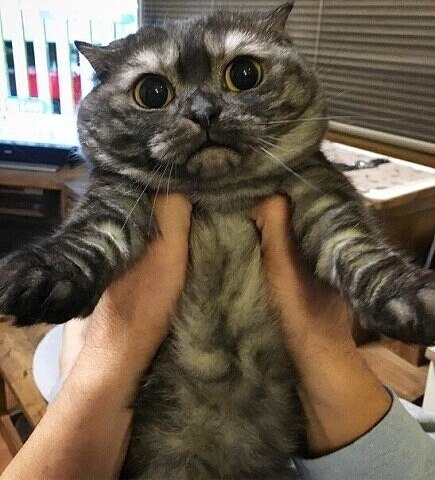 , ,  2    !