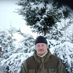 ���� �������, ������, 68 ��� - ��������� 2 ������� 2022