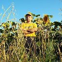 ���� ��������, �����-���������, 53 ���� - ��������� 30 �������� 2021 � ������ ���� ����������