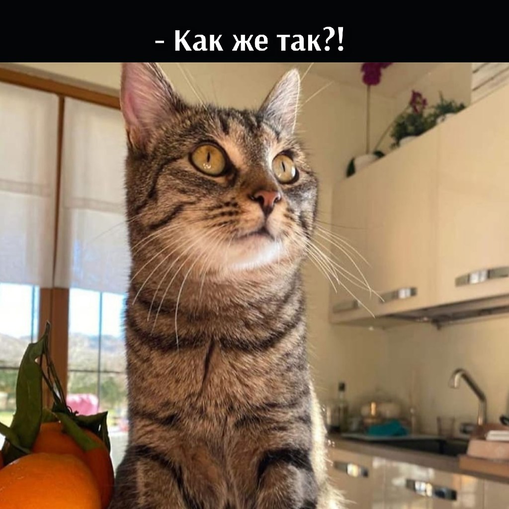       - 22  2022  22:43 - 3