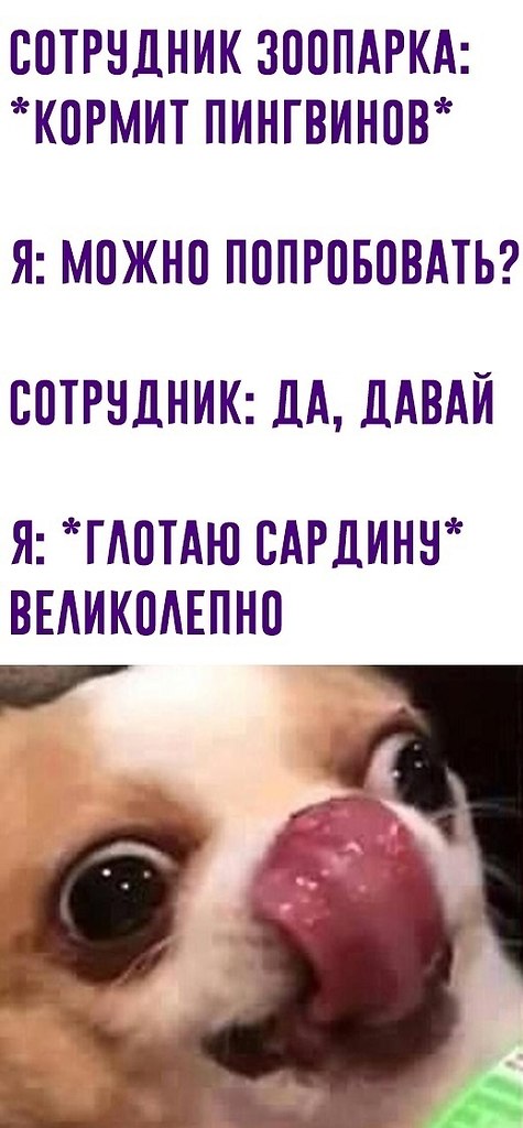    ,   . 
