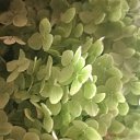 ���� ���������, ����� - ��������� 31 ������� 2021 � ������ ��������