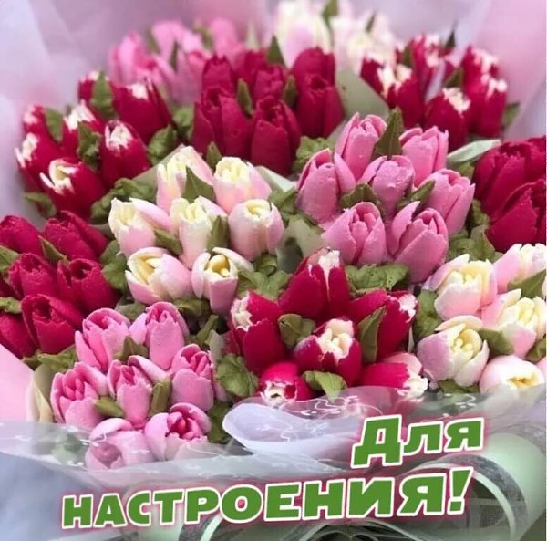 ***Victoria Viktorovna*** - 6  2021  04:13 - 2