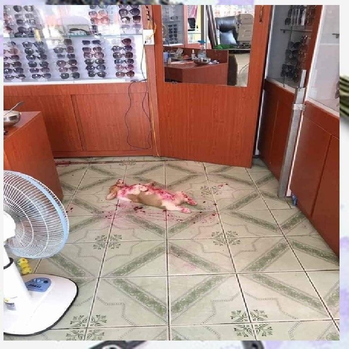    ))        ))