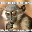 ���� �������, �������� - ��������� 26 ������� 2021 � ������ ������ ��������