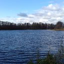 ������ �� ������� ���� ����������