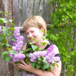 �, ������������