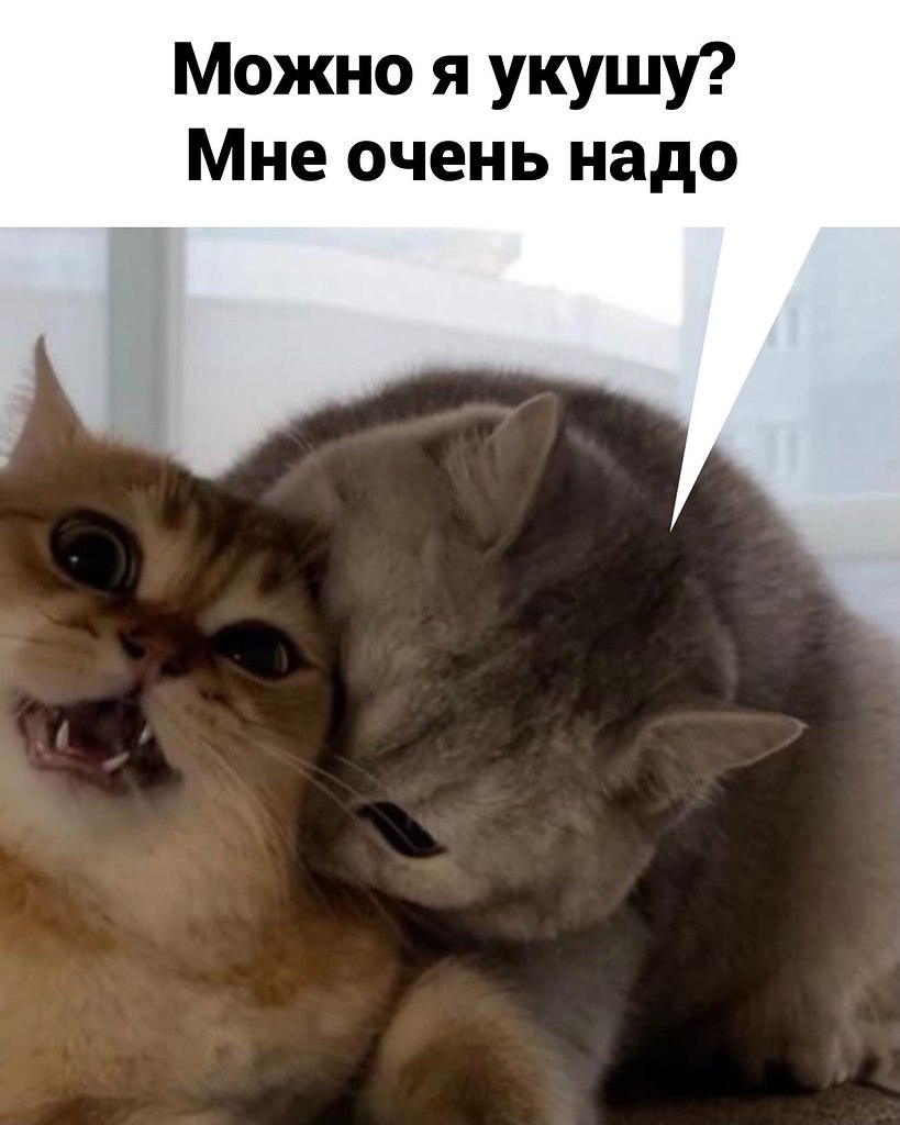   .  - 2