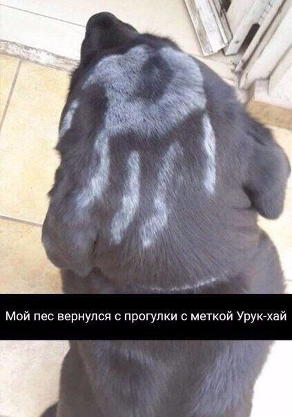  . - 8