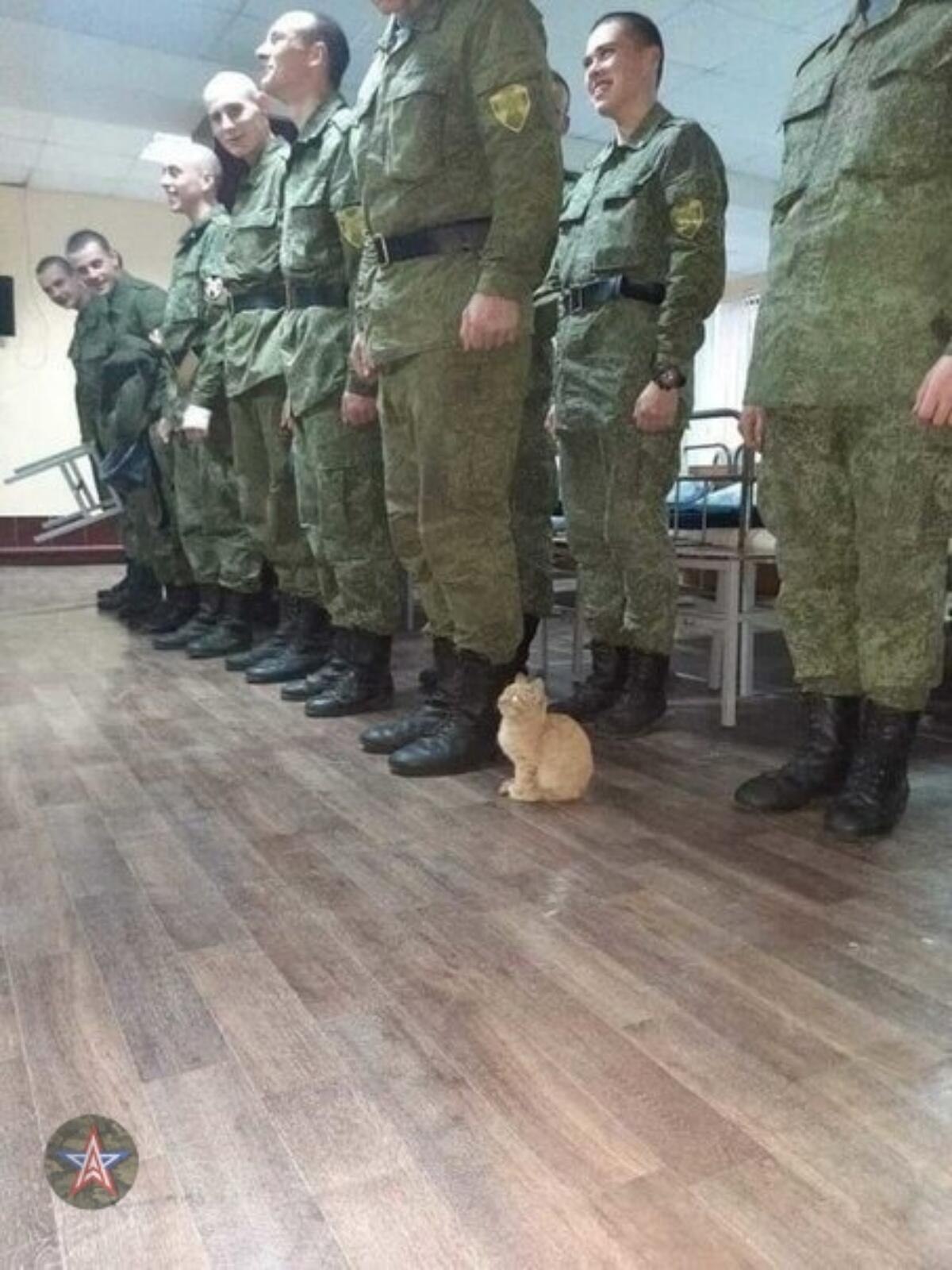  - 13  2021  13:34