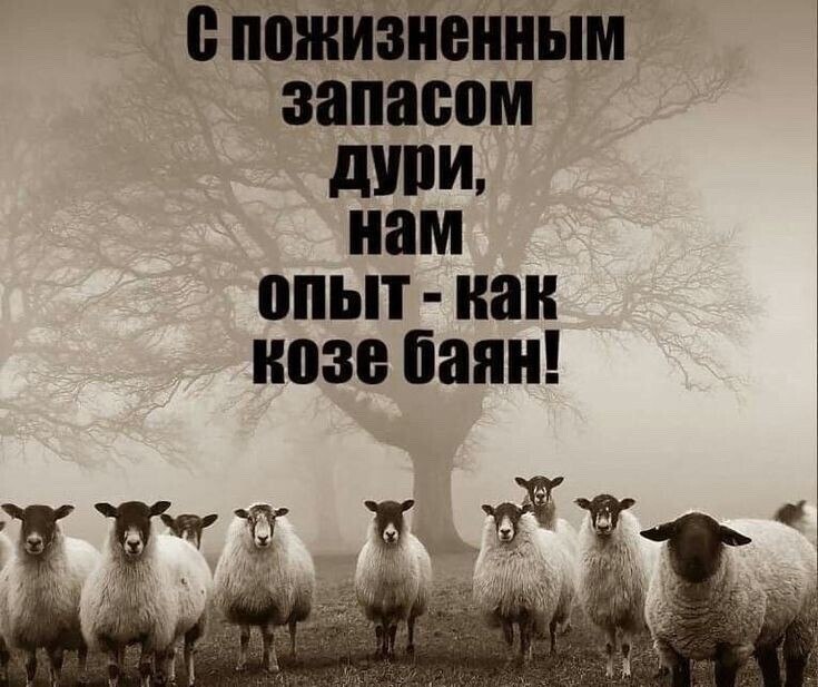 ***Victoria Viktorovna*** - 2  2022  07:04