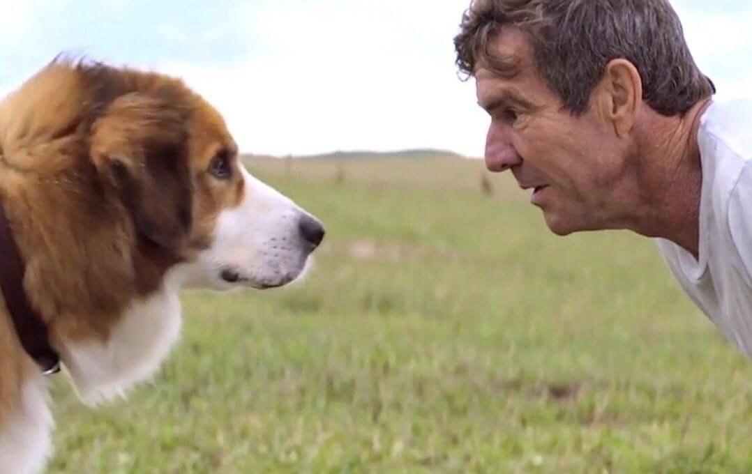  .y  ,  e o,   o. - 3