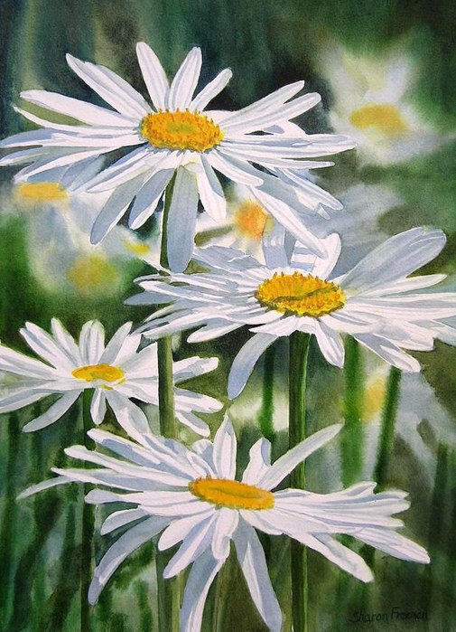   Sharon Freeman - 4