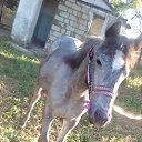���� Edem, ���������, 48 ��� - ��������� 11 ������� 2021 � ������ ���� ����������