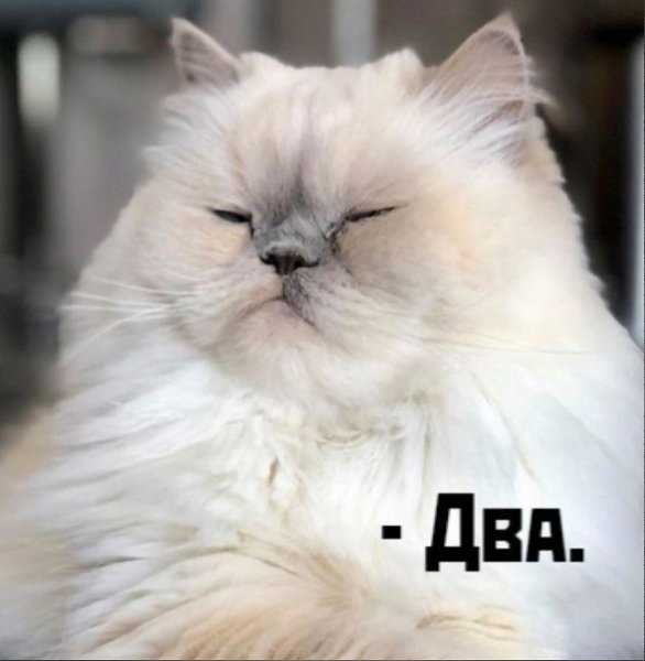       - 10  2021  10:12 - 6