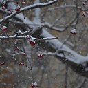  ,  -  14  2021      (  ).