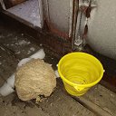���� ��������, �����-���������, 59 ��� - ��������� 27 ������� 2021 � ������ ���� ����������