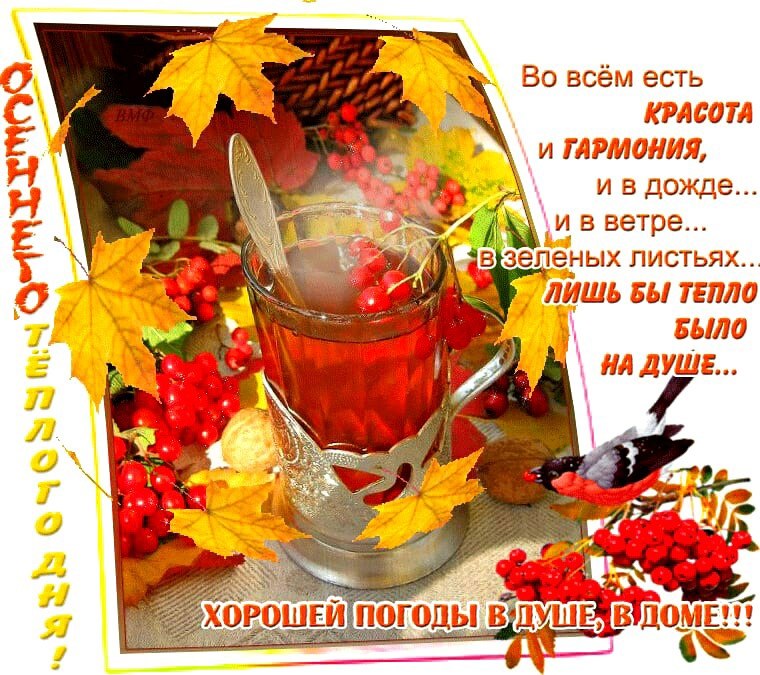   ,    . - 8  2021  11:55 - 9