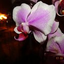 ���� �����, ��������, 69 ��� - ��������� 12 �������� 2021 � ������ ���� ����