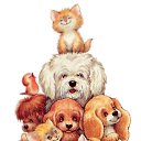 ���� ���������, ���������, 48 ��� - ��������� 5 �������� 2021 � ������ ���� ����������