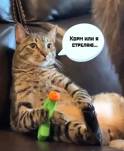 4    .