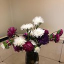  Irin@,  -  16  2021   2021