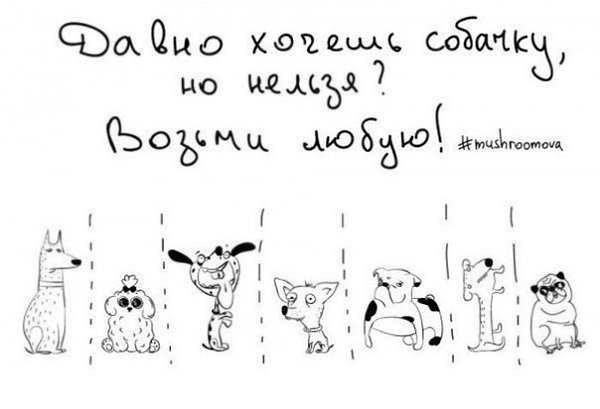 Забавные объявления для поднятия настроения - 5