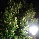 ���� ������, ��������� - ��������� 13 ���� 2021