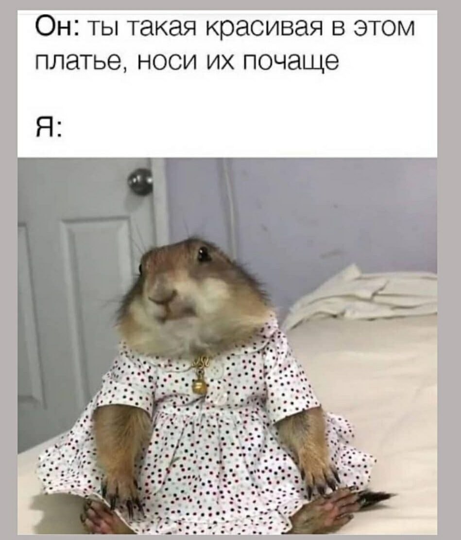 ***Victoria Viktorovna*** - 26  2021  07:10