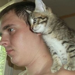 �����, ������, 34 ����