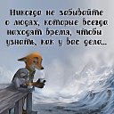 ���� ��������, �����������, 66 ��� - ��������� 23 ������ 2022 � ������ ���� ����������