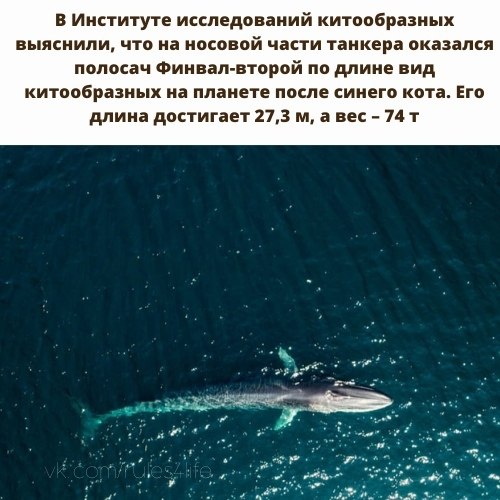 ����� ��������. - 3