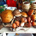 ���� Liliya, ���� - ��������� 4 �������� 2021 � ������ ������ ��������