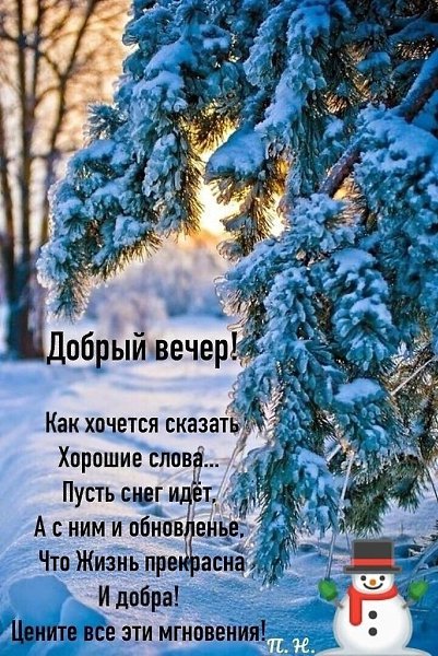   ,    . - 2  2022  19:20