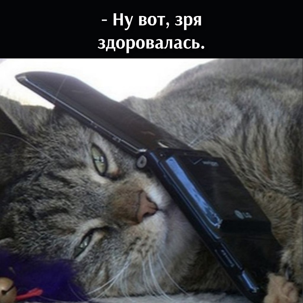       - 9  2021  10:30 - 3