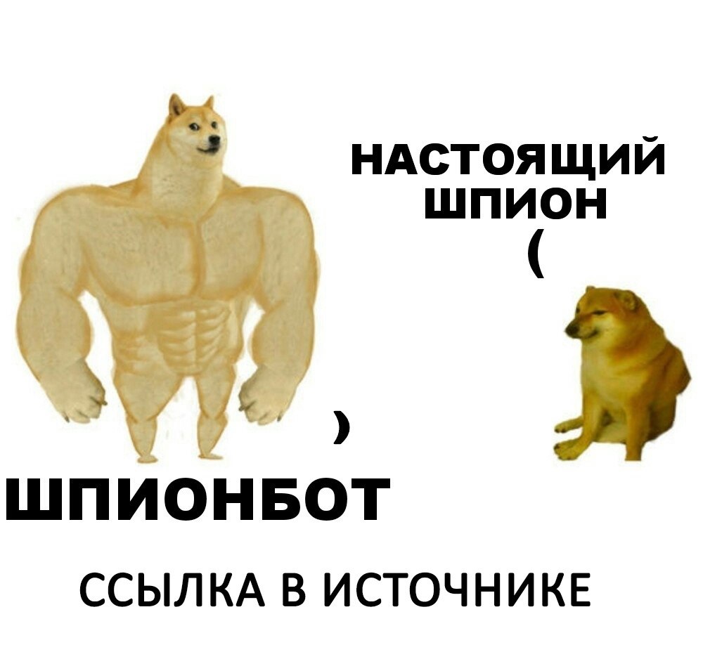     - 15  2021  16:00