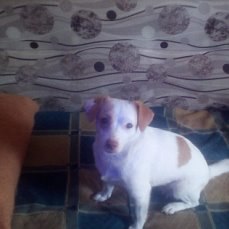   - 27  2021  06:06 - 2