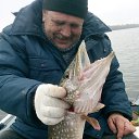 ���� �����, ������, 62 ���� - ��������� 9 ������ 2021 � ������ ���� ����������