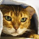 ���� �lina, �����, 60 ��� - ��������� 25 ����� 2021 � ������ ����� , ������ � ������