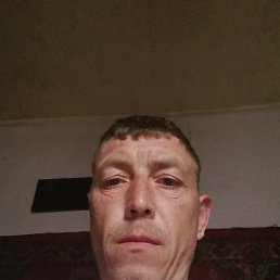 ���� �����, ������, 41 ��� - ��������� 11 ���� 2021