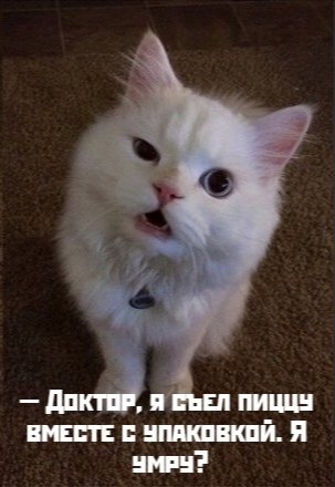       - 26  2021  14:36
