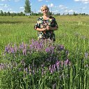 ���� �����, ����, 81 ��� - ��������� 1 ���� 2021 � ������ ���� ����������