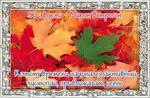   ,    . - 29  2021  22:07 - 7