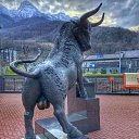  Igor,  -  14  2021