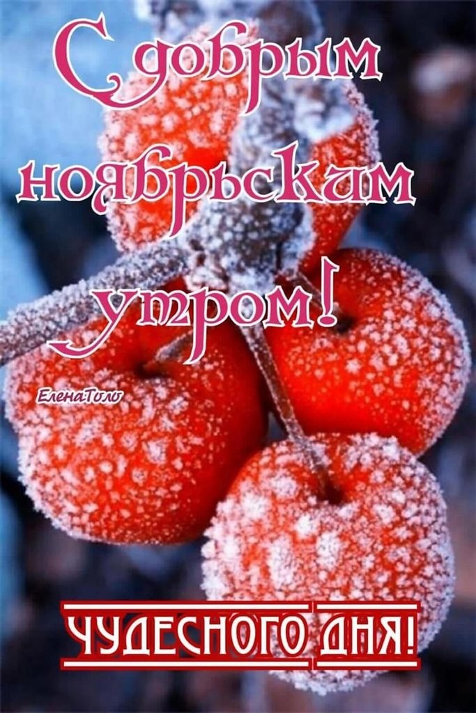      ;       ,        ... - 4