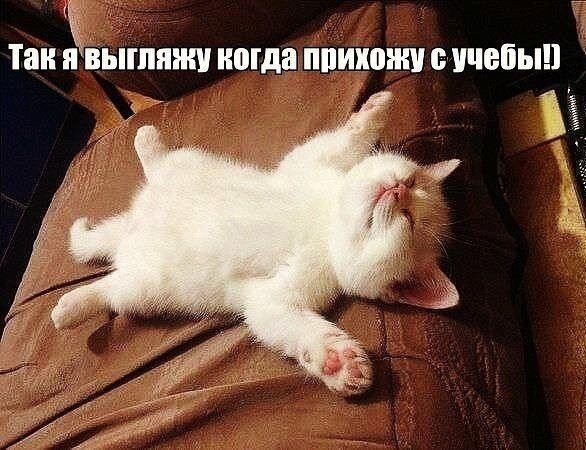    - 12  2021  13:22