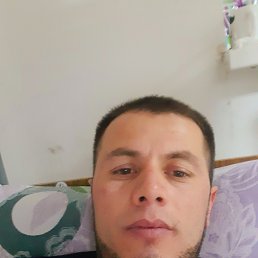 ., 40, ,  