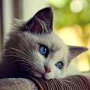 ���� ������, ������������ - ��������� 24 �������� 2021 � ������ ���� ����������