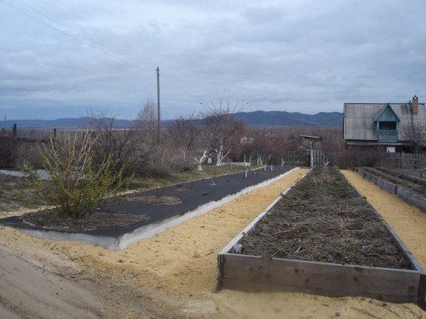    .       ,    . ... - 2