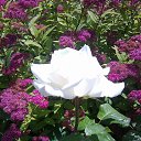 ���� �������, ����� - ��������� 21 ���� 2021 � ������ ���� ����������